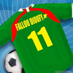 fallou dioufy