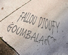 fallou dioufy