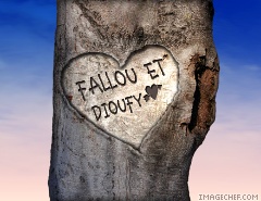 fallou dioufy
