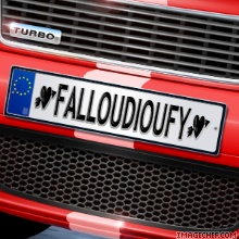 fallou dioufy