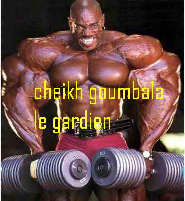 cheikh