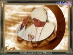 slt  a  tous